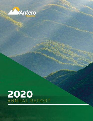 2020 Annual Report